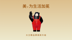 加冕美学王座！大王椰品牌焕新2.0深度解码